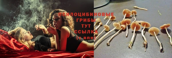 мяу мяу мука Каменка
